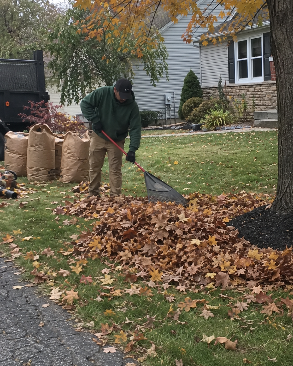 Seasonal leaf cleanup